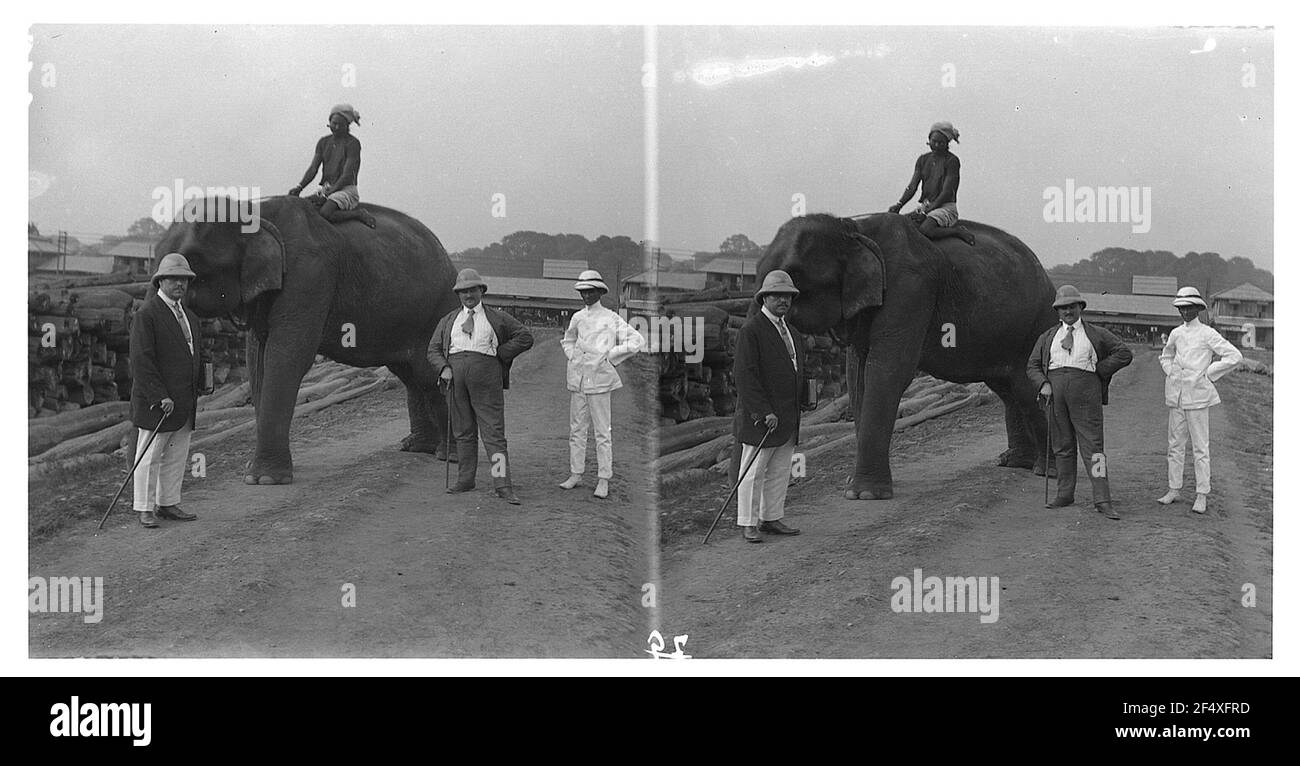 M. Martini et payeurs pure posant avec des éléphants en Inde Banque D'Images