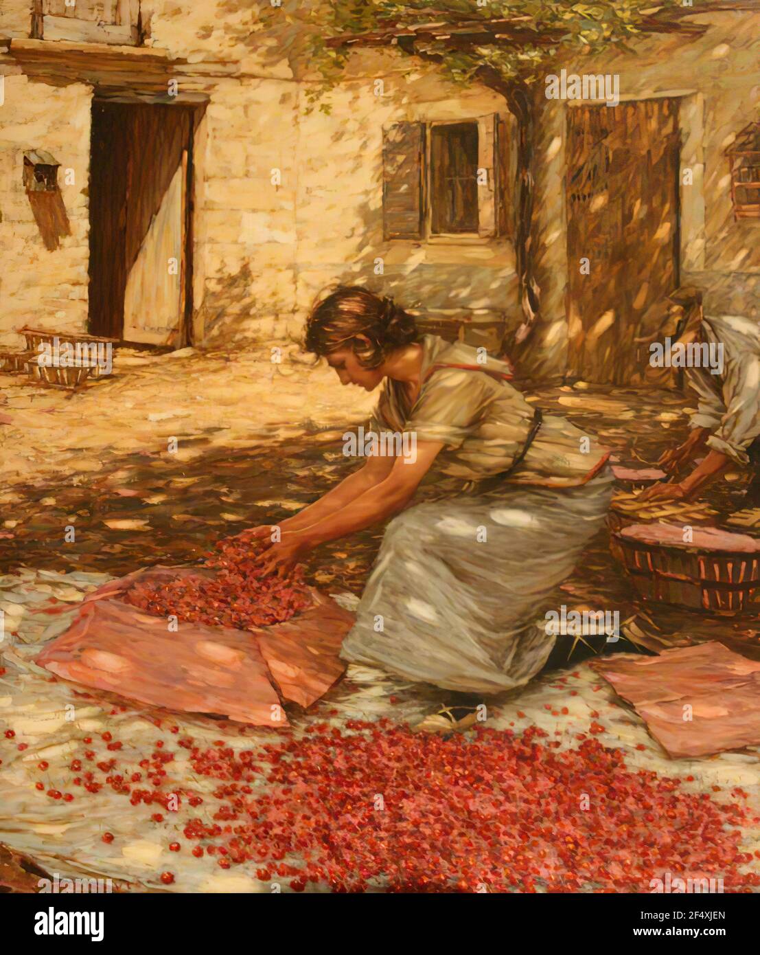 Henry Herbert la Thangue (1859 - 1929) - emballage Cherries Provence France 1923 Banque D'Images