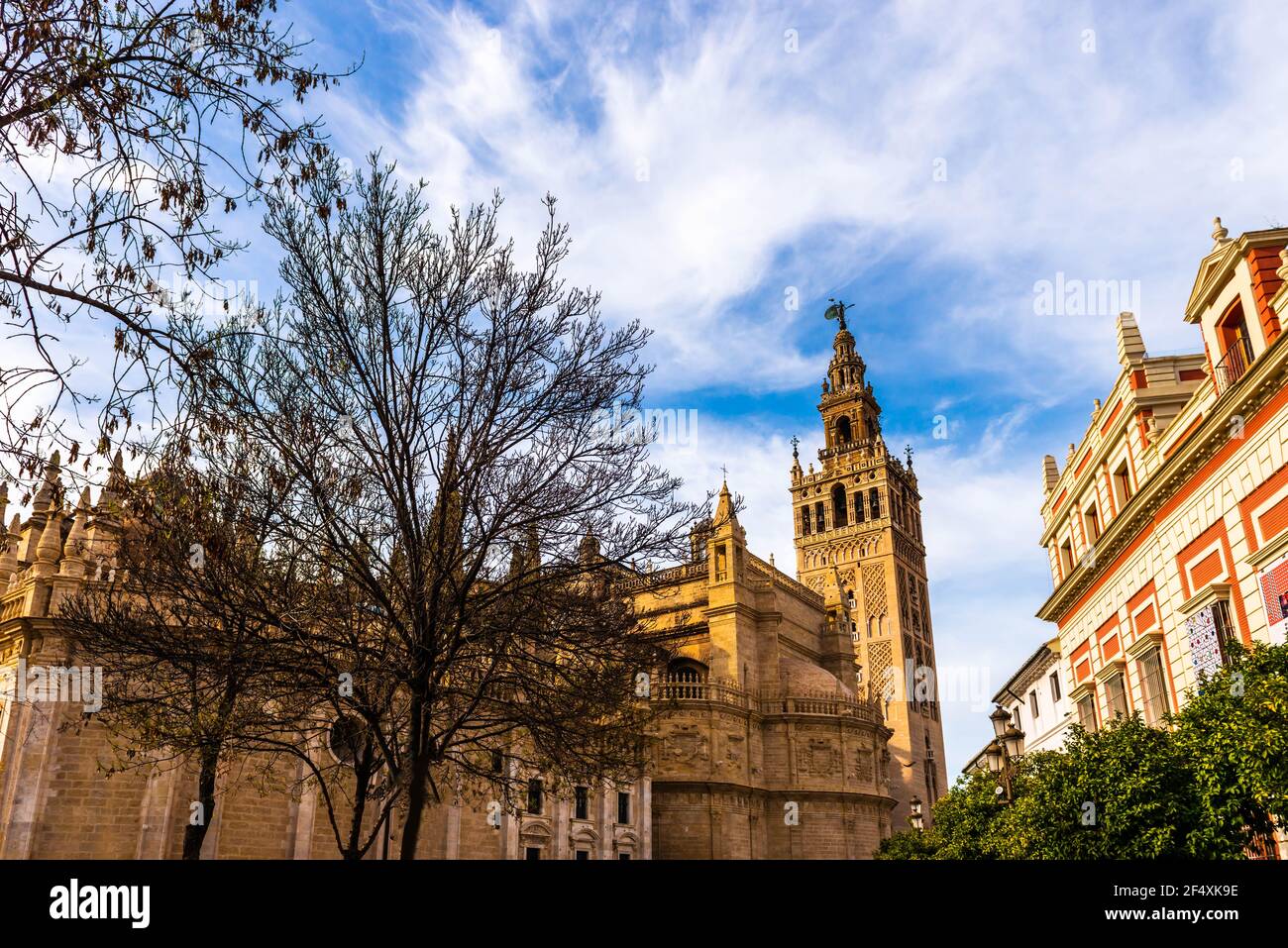 Cathédrale et tour Giralda, Séville en Andalousie, Espagne Banque D'Images