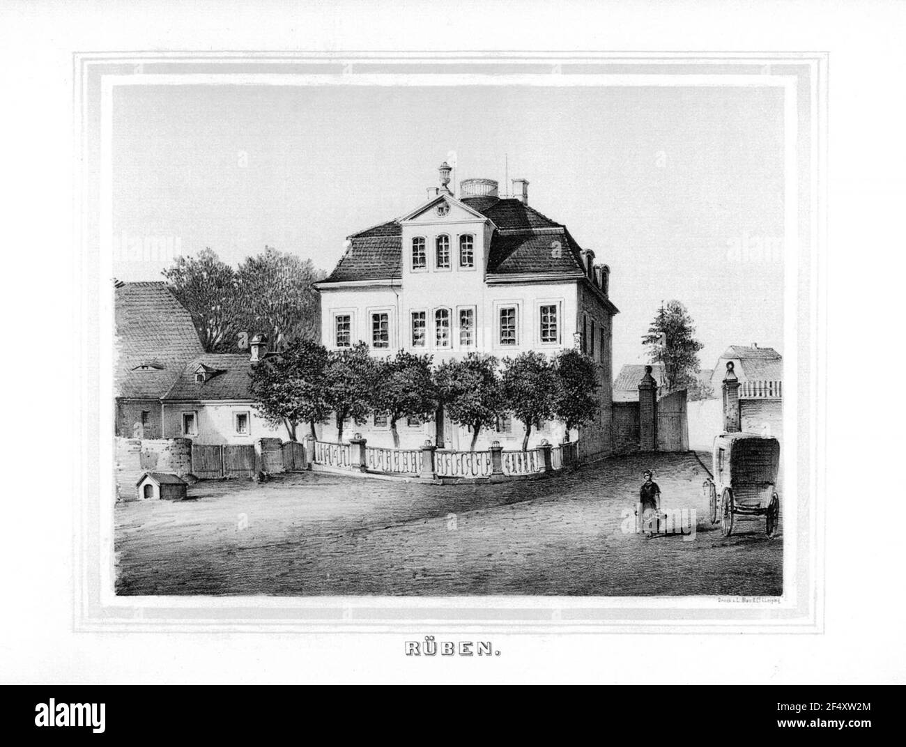 Betterave Banque D'Images