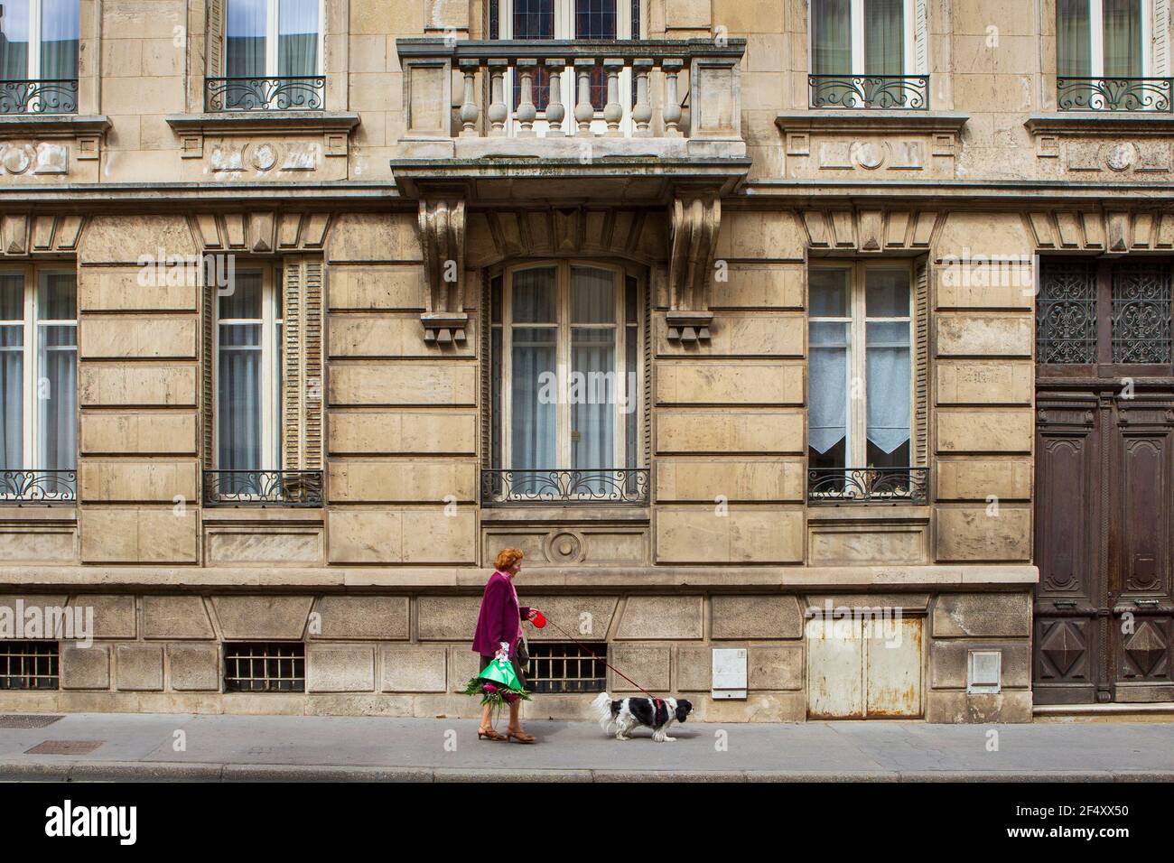 Woman walking dog Banque D'Images