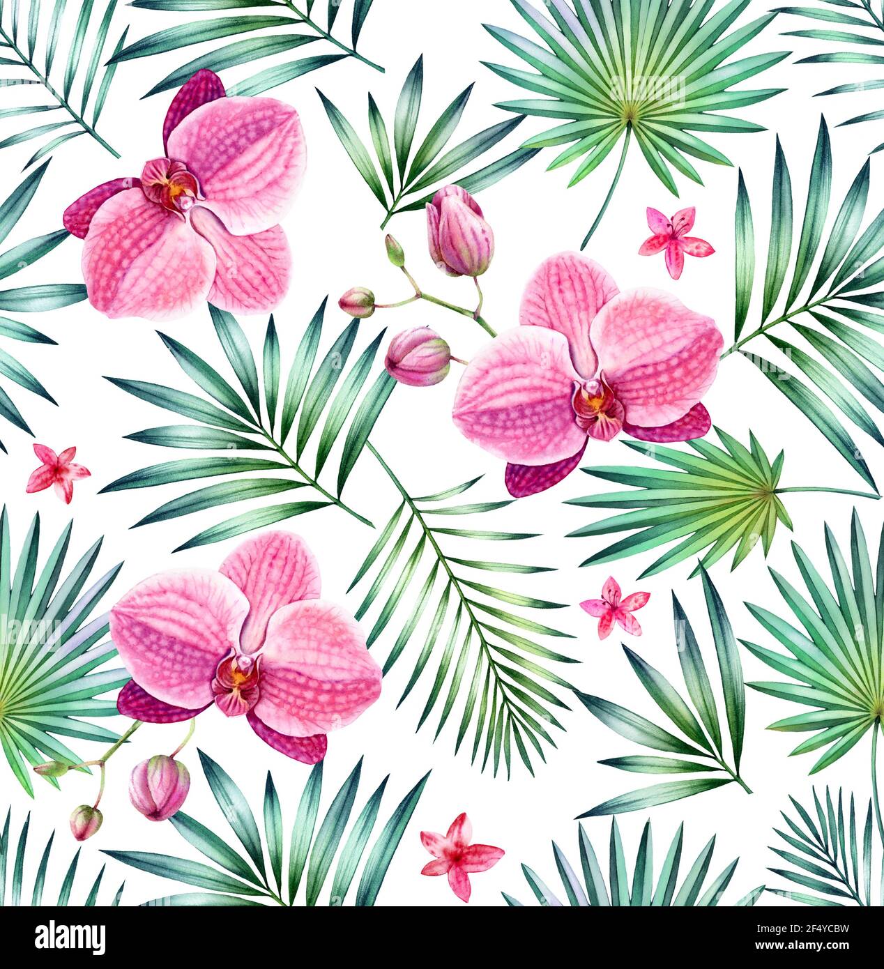 Motif tropical sans coutures aquarelle. Fleurs d'orchidées roses et feuilles de palmier isolées sur blanc. Fond floral imprimé à la main pour la surface Banque D'Images
