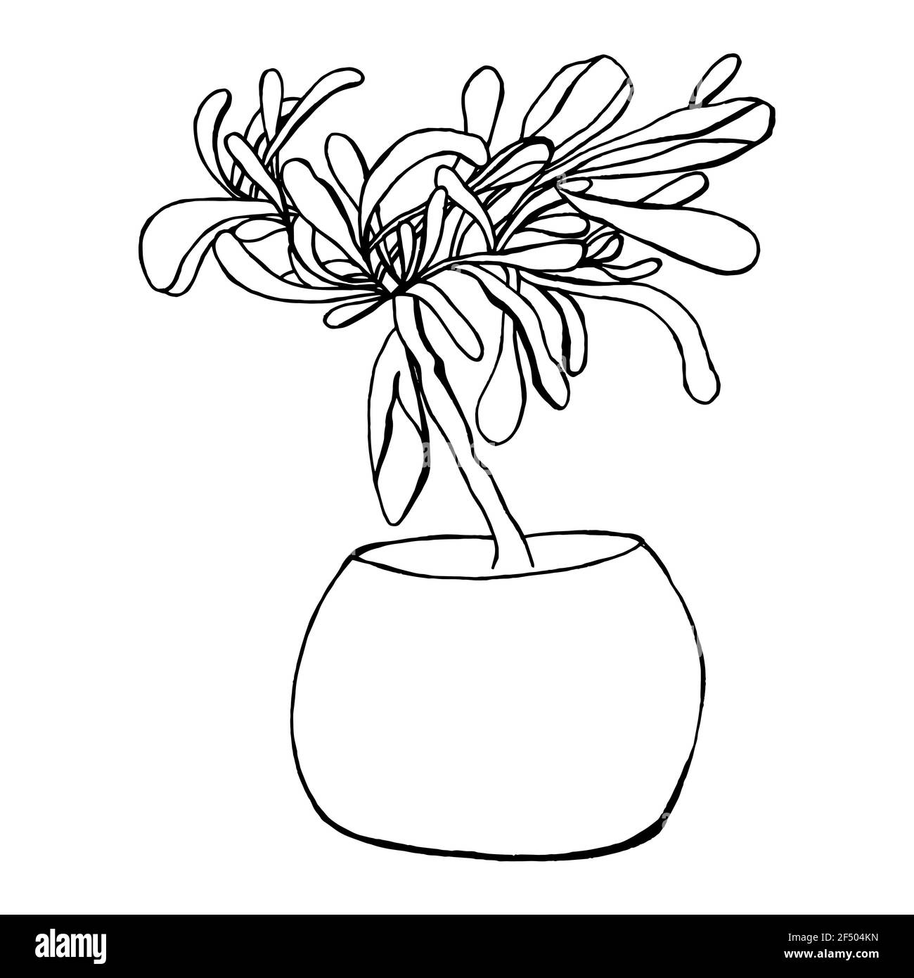 Plantes de maison dans une illustration vecteur de pot isolé Banque D'Images