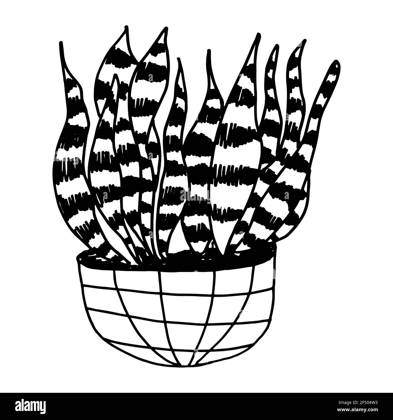 Plantes de maison dans une illustration vecteur de pot isolé Banque D'Images