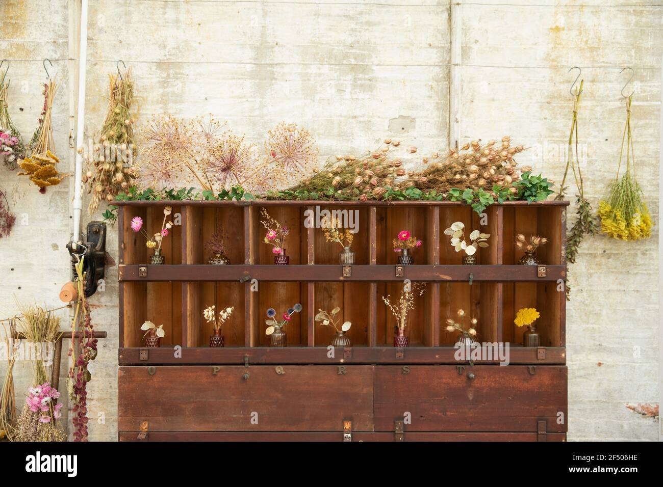 Fleurs séchées exposées dans une armoire en bois en magasin Banque D'Images