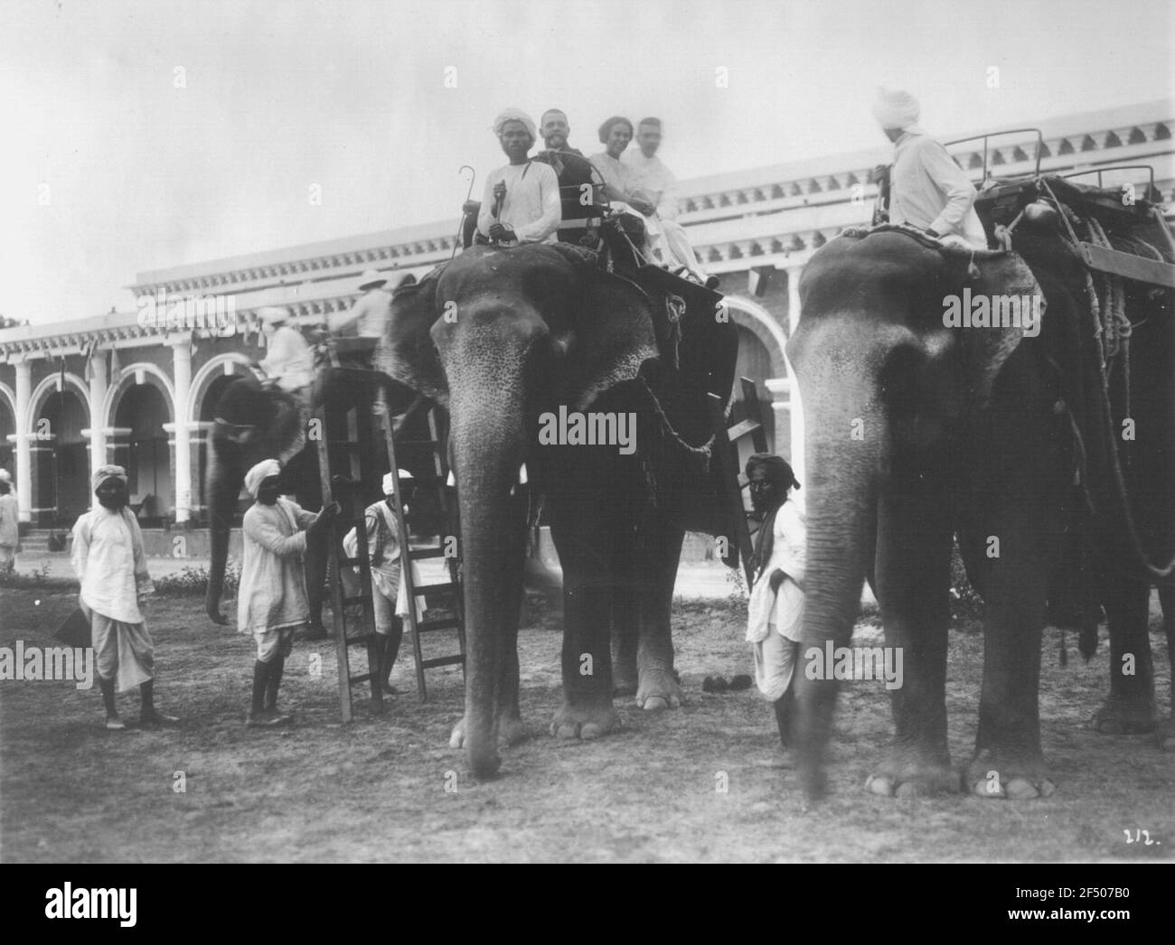 Fermeture d'image en préparation Calcutta, Inde. Les touristes hapag sur l'équitation des éléphants, les guides locaux Nonely Banque D'Images