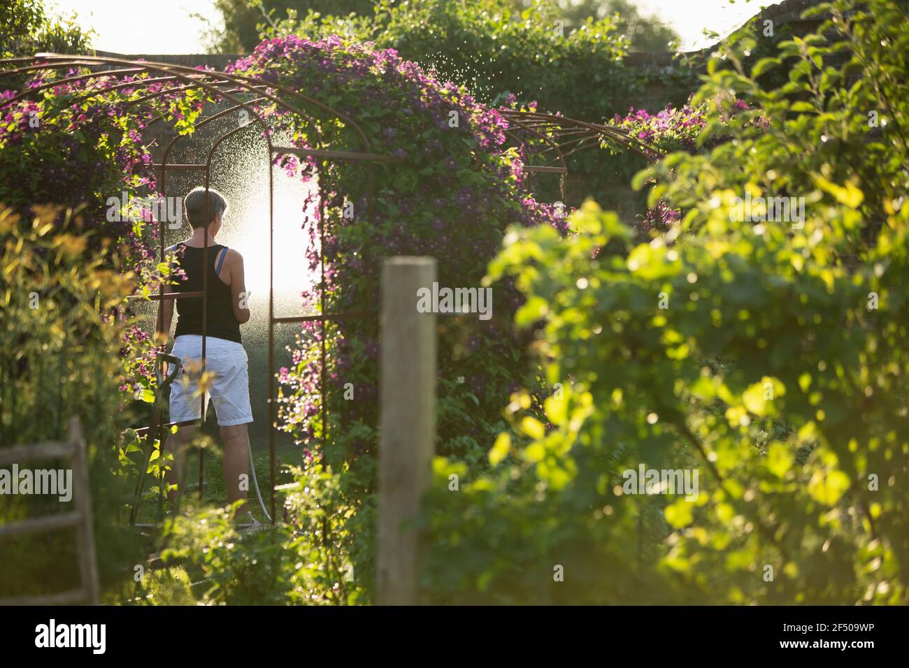 Femme arrosoir des plantes et des fleurs dans un été idyllique et ensoleillé jardin Banque D'Images
