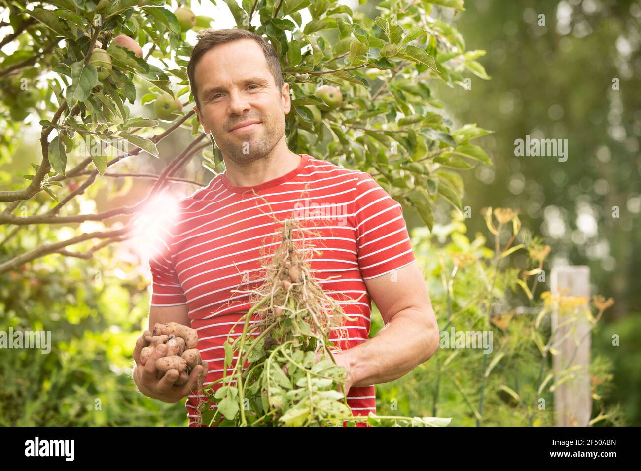 Portrait homme confiant récolte des légumes dans le jardin d'été Banque D'Images