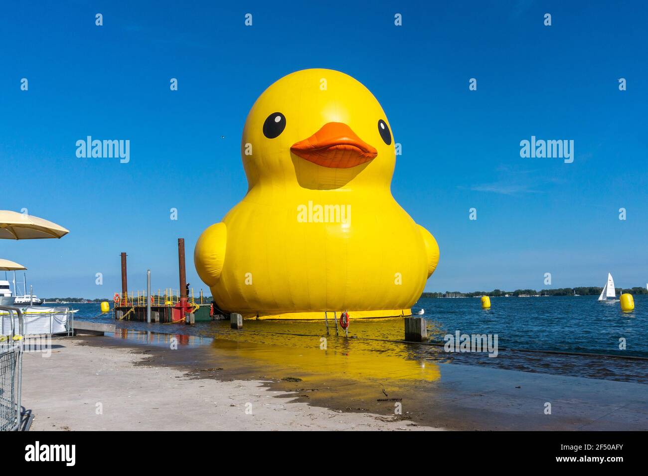 Toronto Le Canard En Caoutchouc Geant Celebrera Le 150e Anniversaire Du Canada Le 30 Juin 17 Photo Stock Alamy