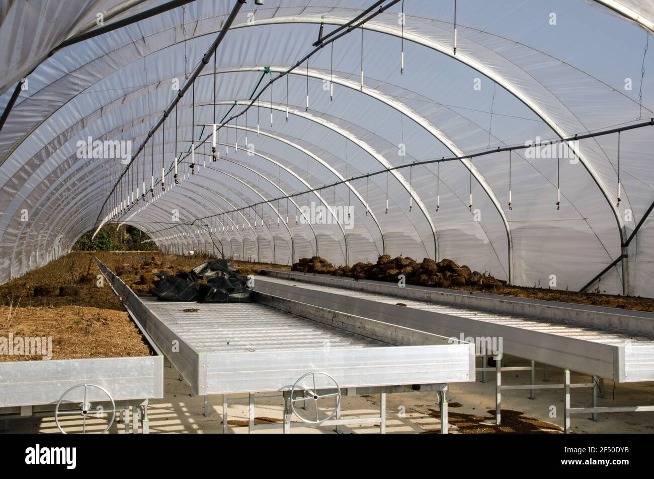 Vue à l'intérieur d'un tunnel en polyéthylène horticole pour les semis de printemps. Banque D'Images