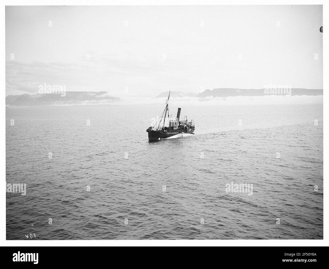 Walfish Chanber Banque D'Images