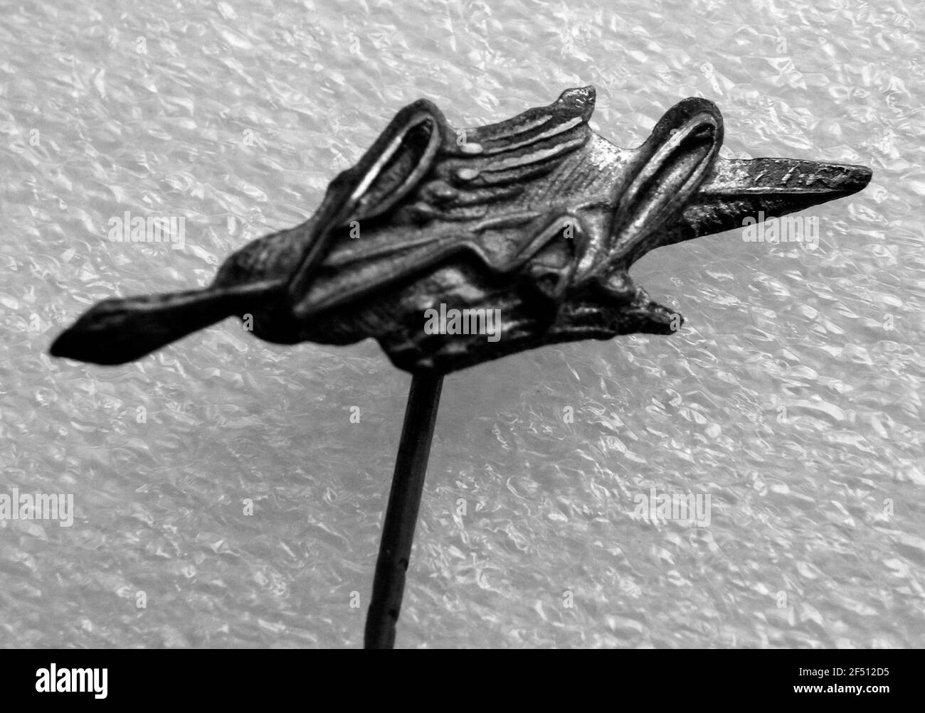 Badge d'adhésion bandé les clubs pour la sténographie simplifiée (avec une longue aiguille) Banque D'Images