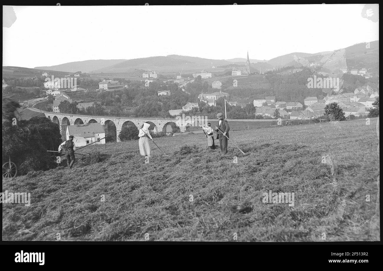 Sebnitz. Viaduc de chemin de fer Banque D'Images