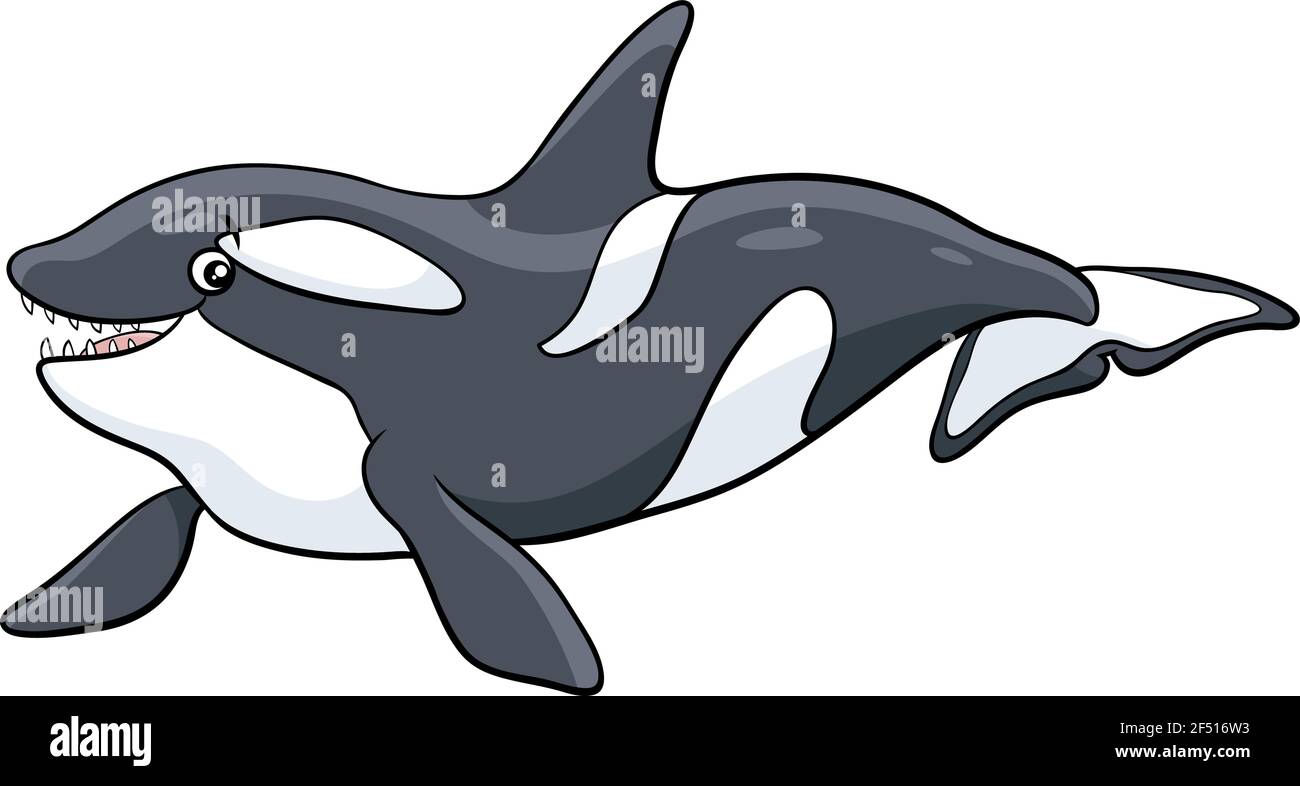 Illustration de dessin animé d'orque ou d'orque de caractère animal de mer Illustration de Vecteur