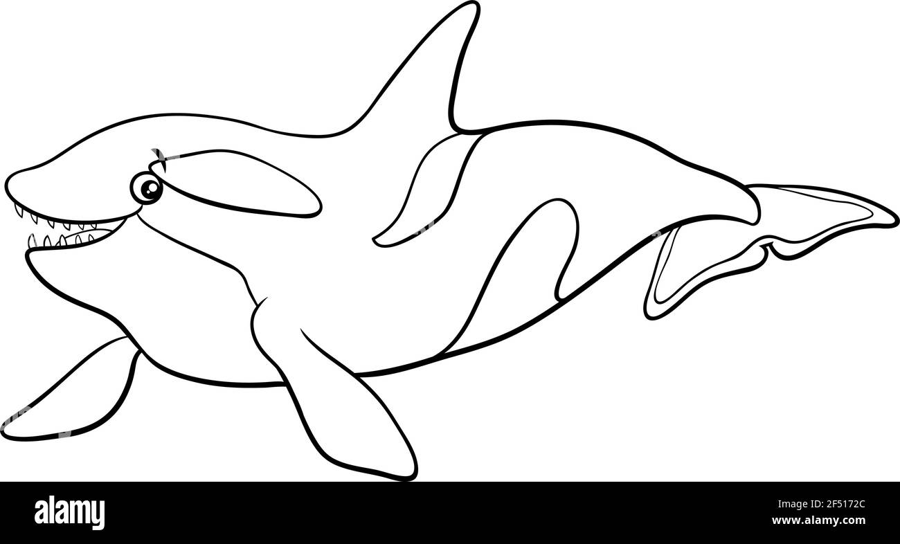 Dessin animé noir et blanc d'orque ou d'orque page de livre de coloriage de personnage d'animal de mer Illustration de Vecteur