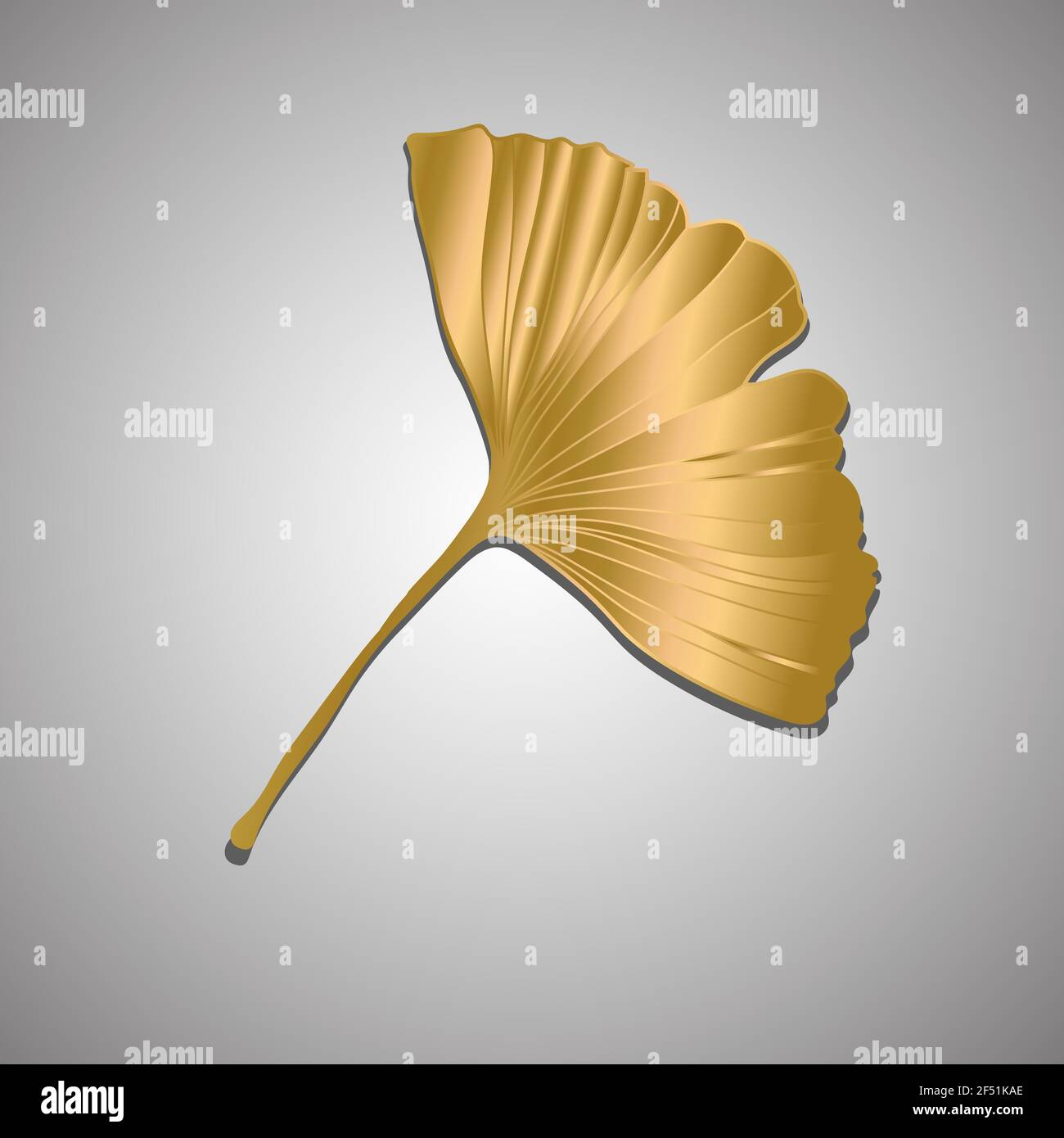 Illustration vectorielle de la feuille de ginkgo biloba. Dessin artistique à la ligne d'encre Illustration de Vecteur