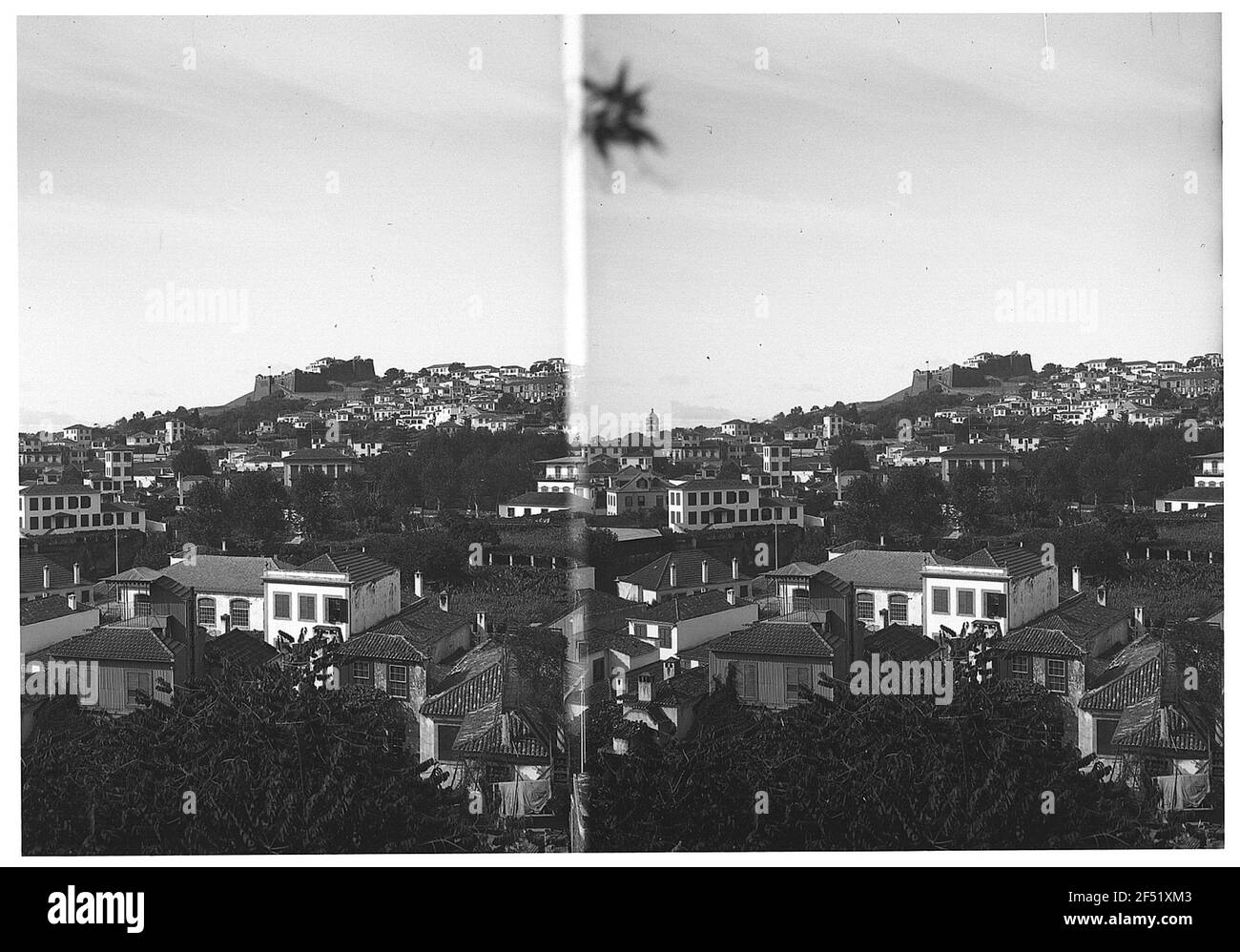 Funchal, Madère / Portugal : vue sur la ville depuis une colline Banque D'Images