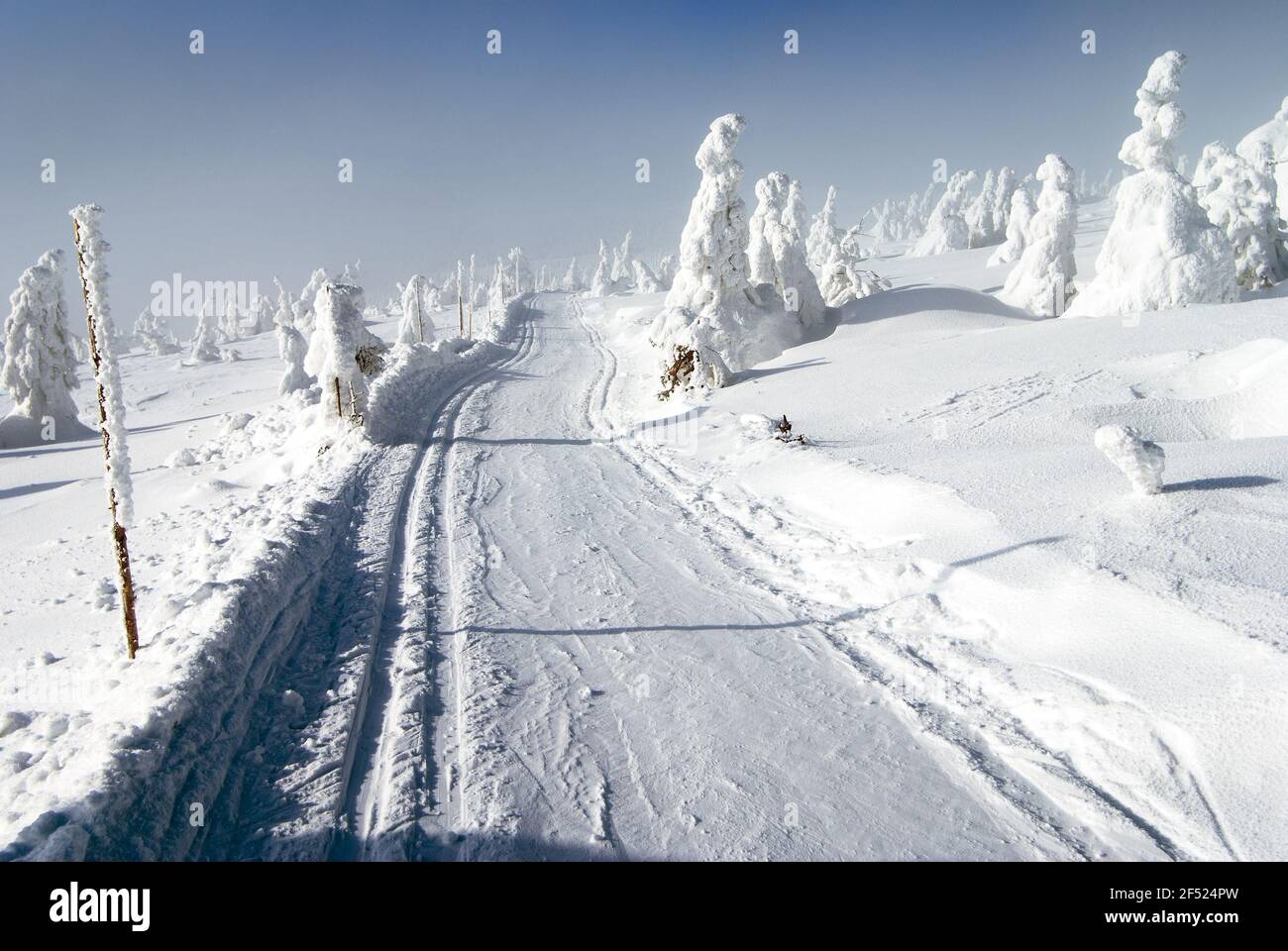 Wintry landscape paysage avec modification du ski de façon Banque D'Images