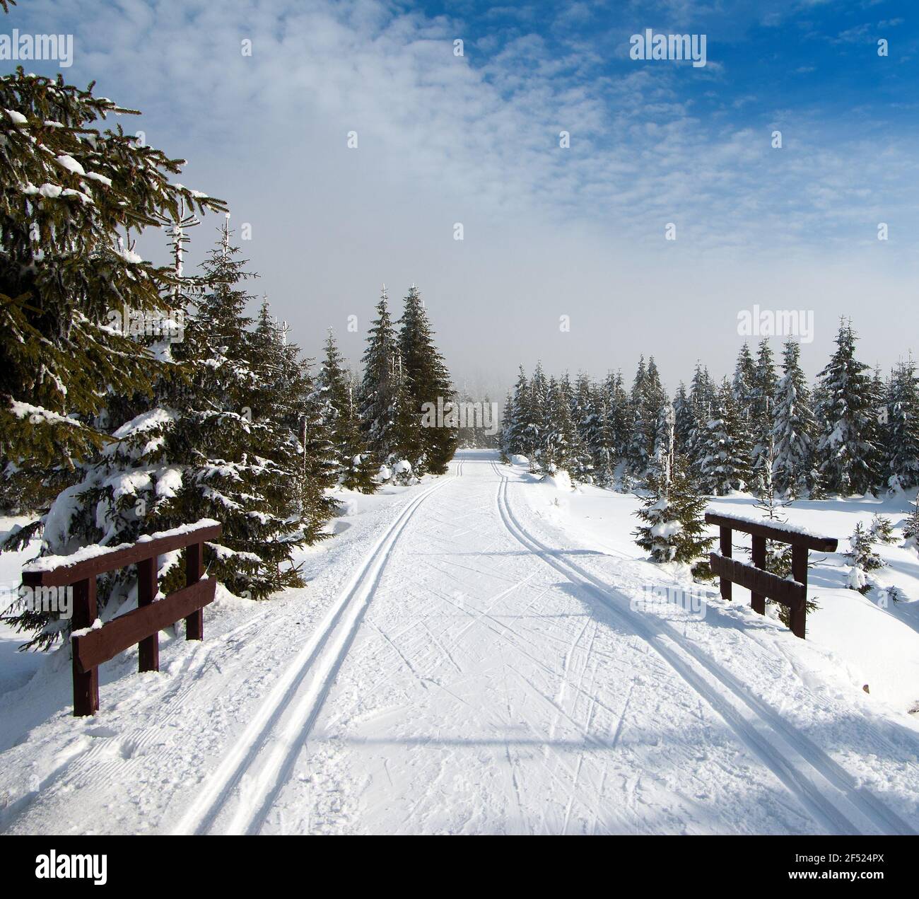 Wintry landscape paysage avec modification du ski de façon Banque D'Images