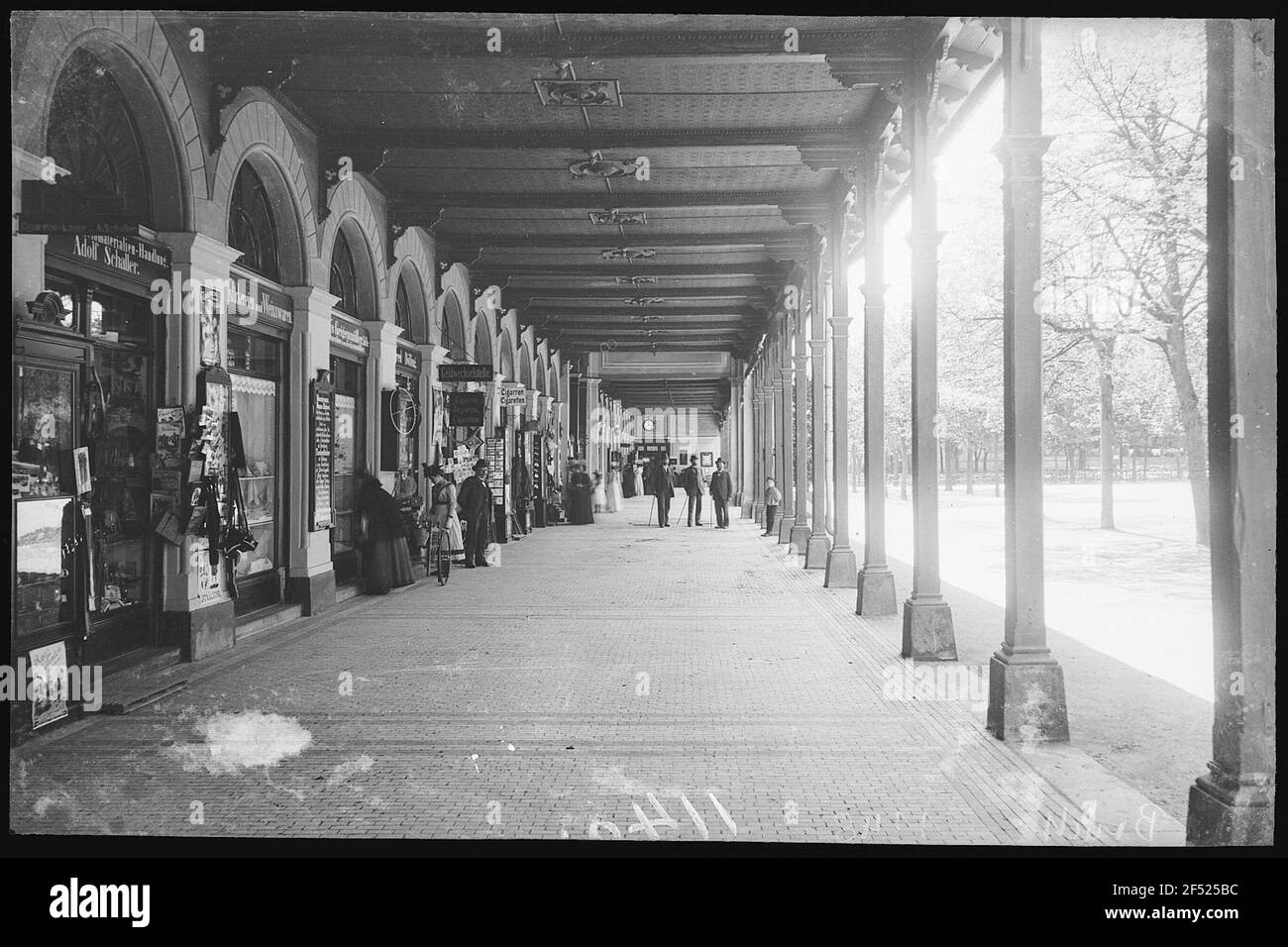 Mauvais Elster. Train convertible Banque D'Images