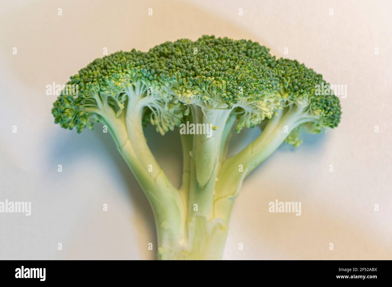 Le brocoli sur fond blanc Banque D'Images