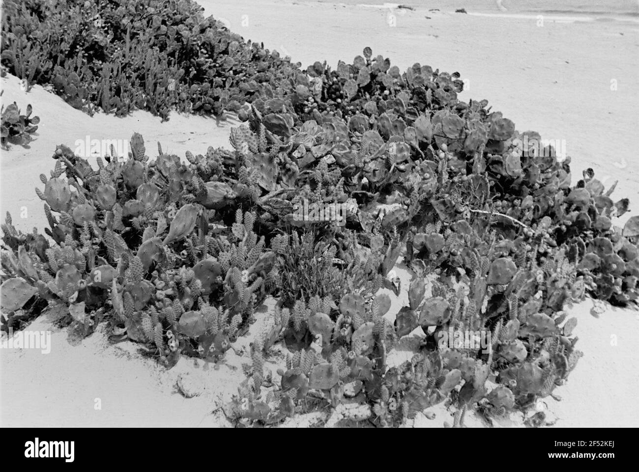 Photos de voyage Sénégal. Figurines Banque D'Images