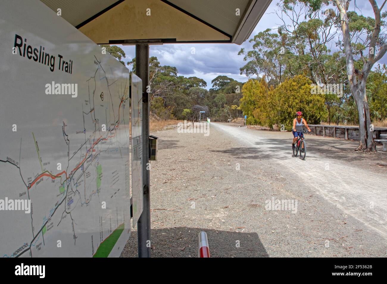 Pédaler sur le Riesling Trail à travers la Clare Valley Banque D'Images