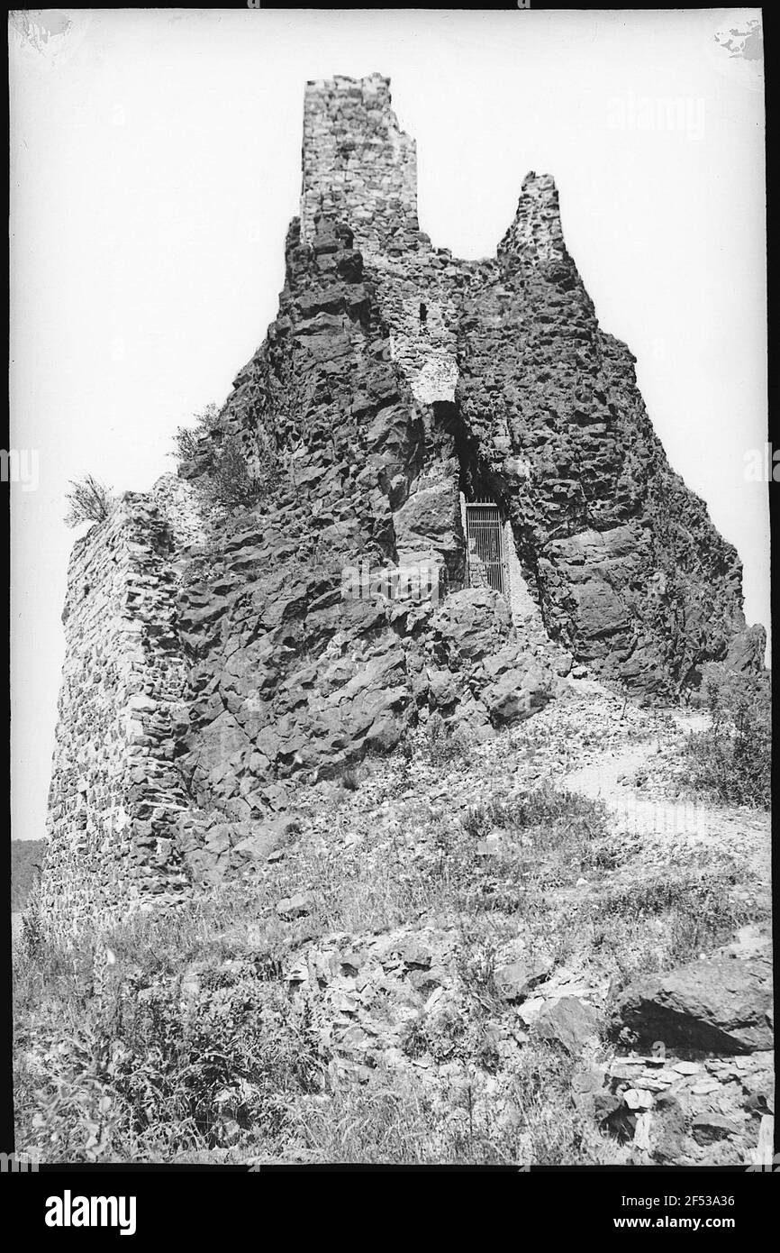 Kumakai K. Ru Nekomama K. Banque D'Images