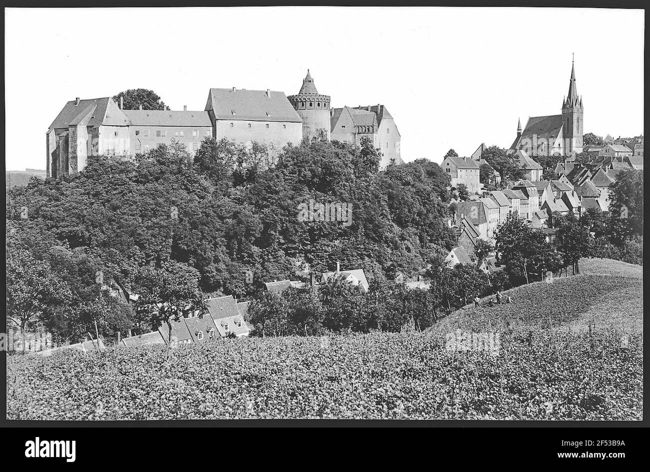 Leisnig. Château de Mildenstein Banque D'Images