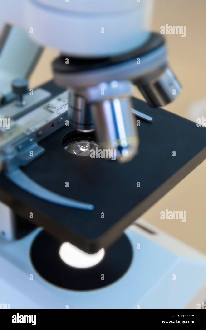 Microscopes composés ou microscopes biologiques utilisés dans les laboratoires, les écoles, les usines de traitement des eaux usées, les bureaux vétérinaires, ainsi que pour l'histologie et l'ap Banque D'Images