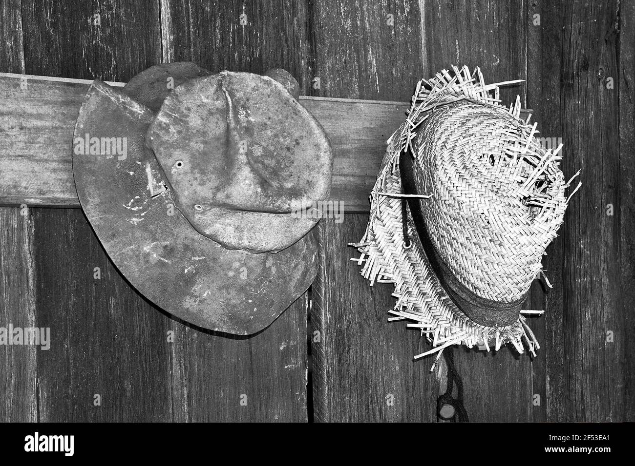 Deux vieux chapeaux de style vintage en noir et blanc, un en feutre, un en  paille, accrochés sur des chevilles contre un mur de bois vieilli en  planche Photo Stock - Alamy