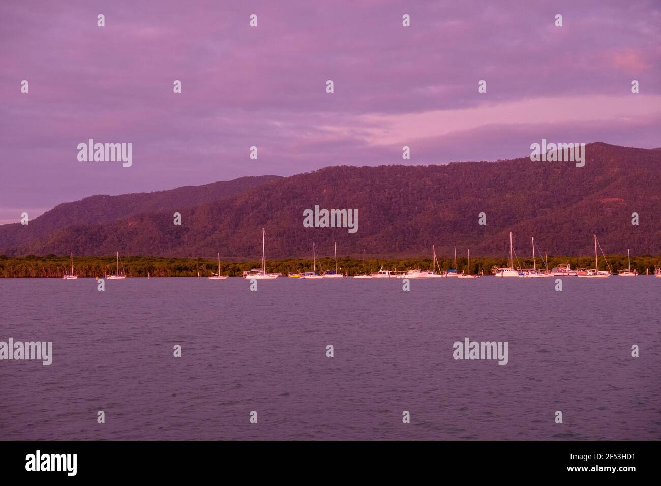 4 nuits - expédition de plongée Minke Whale Banque D'Images