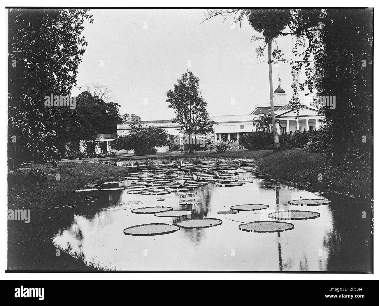 Palais Bogor Banque D'Images