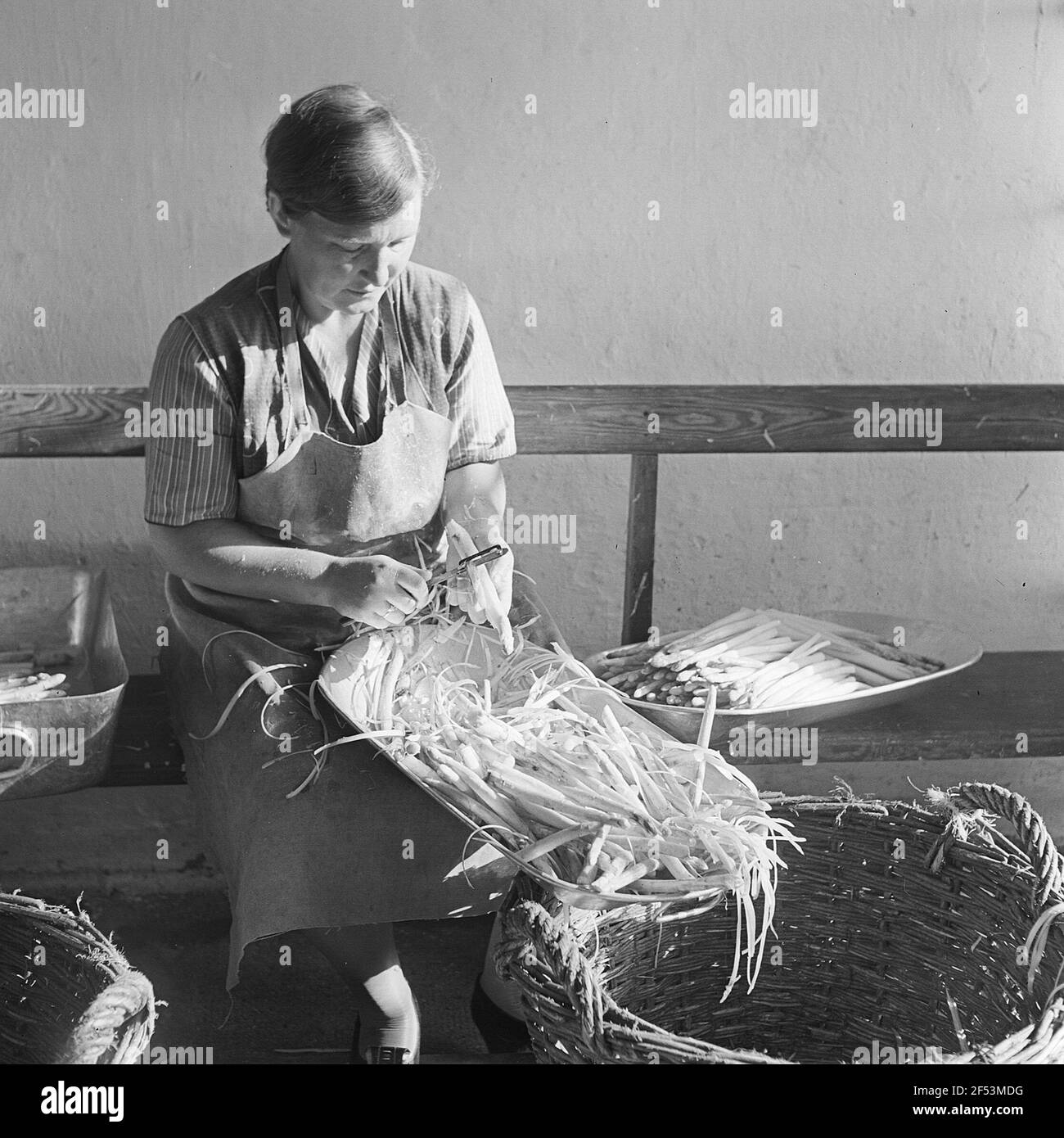 Femme en épluchant les asperges Banque D'Images Femme en épluchant les asperges Banque D'Images