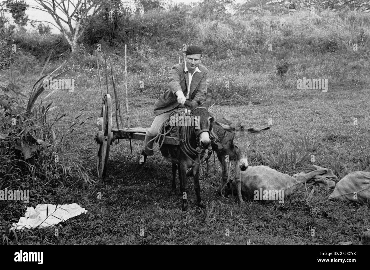Photos de voyage Caraïbes. Trinidad. Le compagnon de voyage du photographe sur un chariot d'âne Banque D'Images