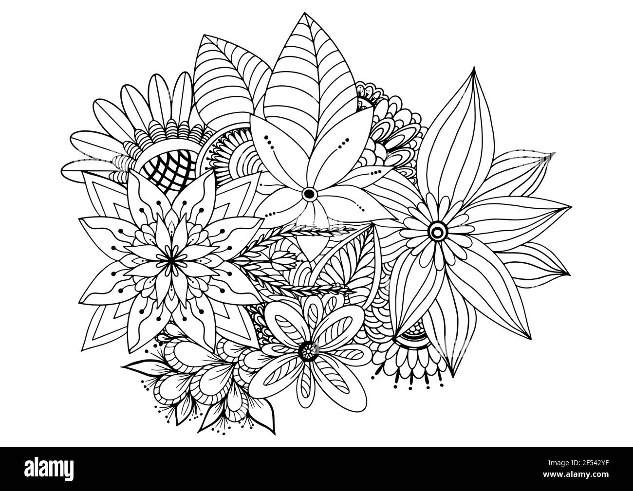 Bordure fleurie sans couture d'une fleur sauvage et d'herbes sur un fond blanc. Vecteur illustrateur dessiné à la main. Illustration de Vecteur
