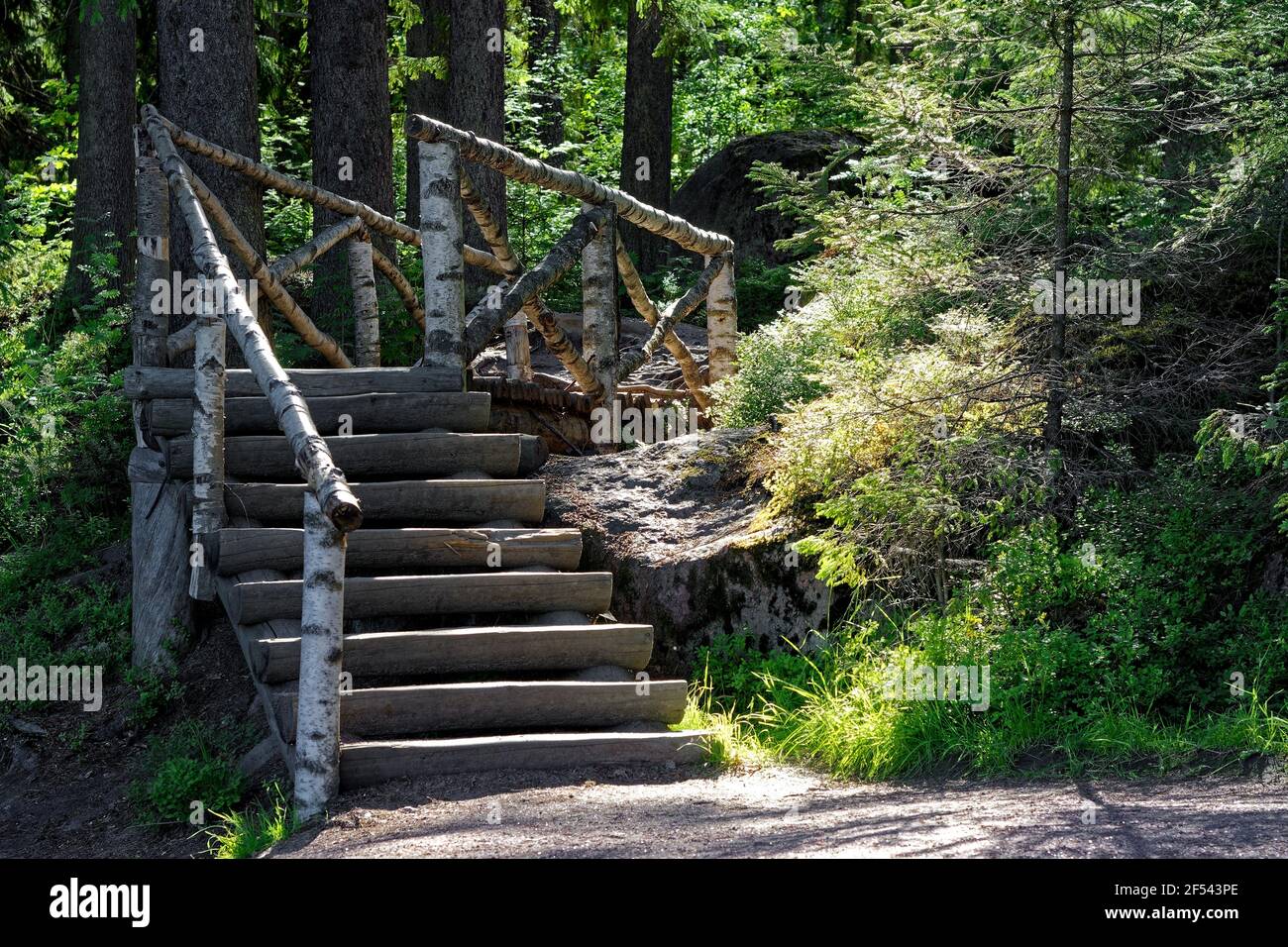 Escalier en bois avec garde-corps en rondins de bouleau pour grimper la colline dans le parc de la ville. Banque D'Images
