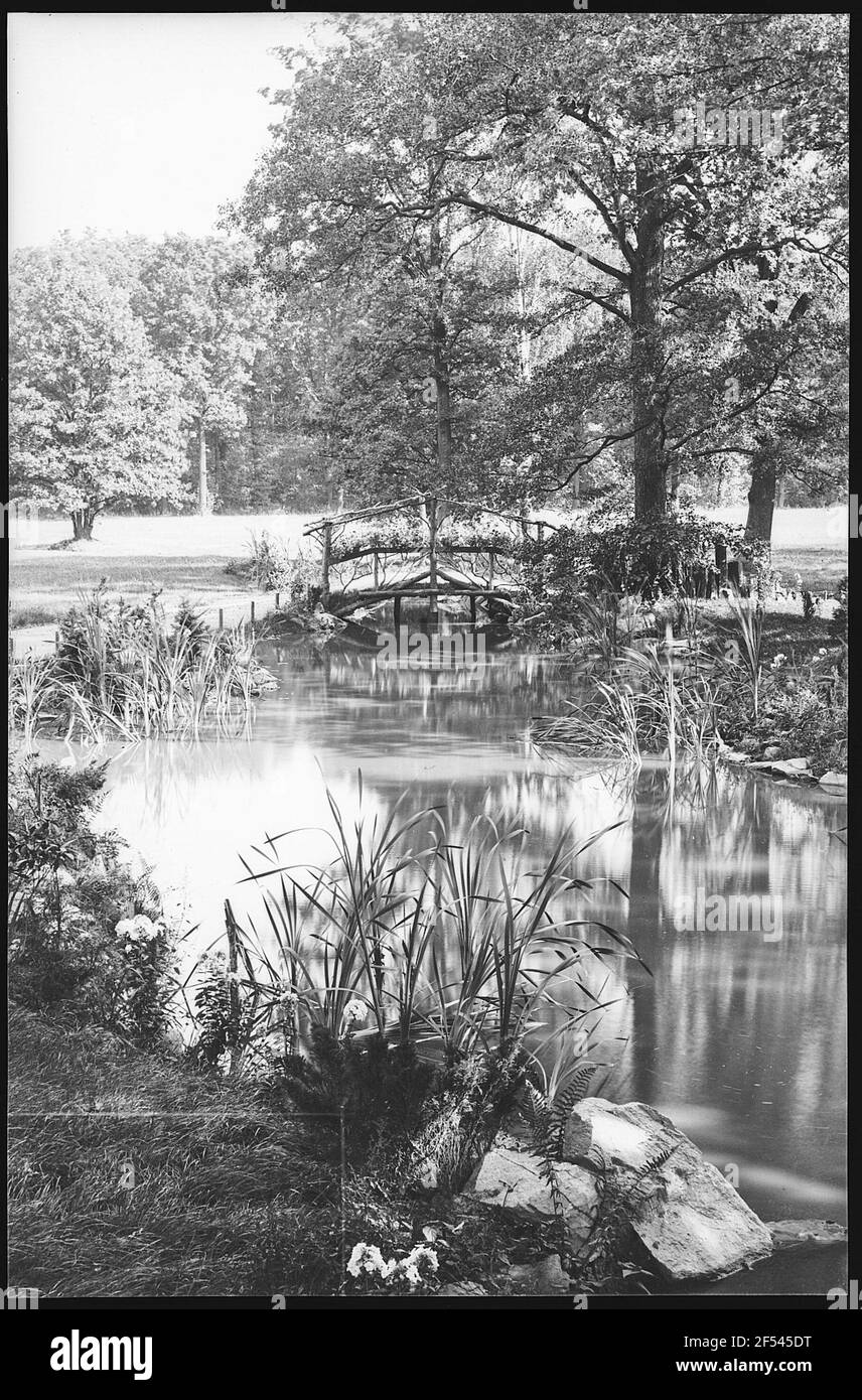 Zittau. Weinau - étang à truites Banque D'Images
