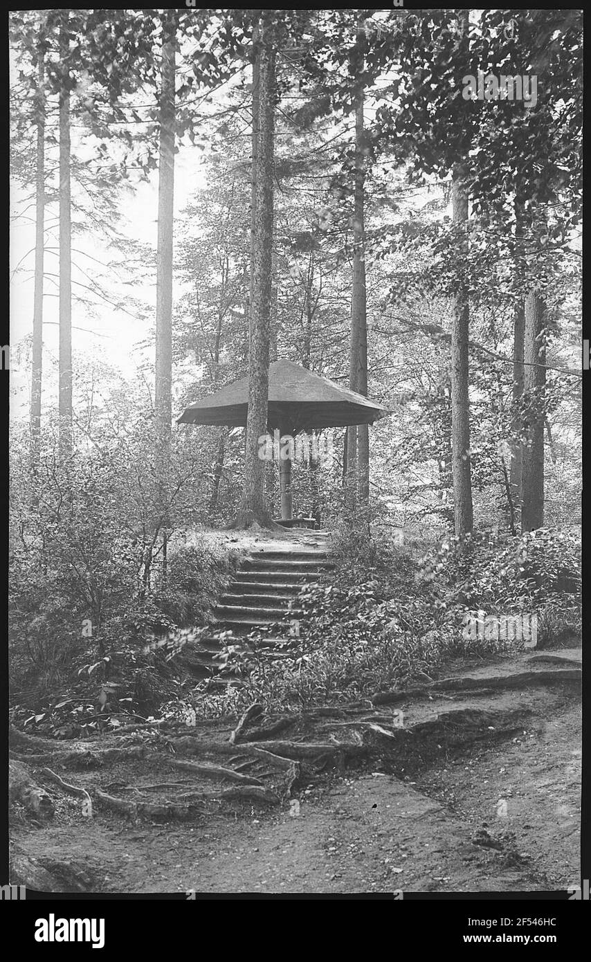 Colditz. Sur le champignon dans le Tiergarten Banque D'Images
