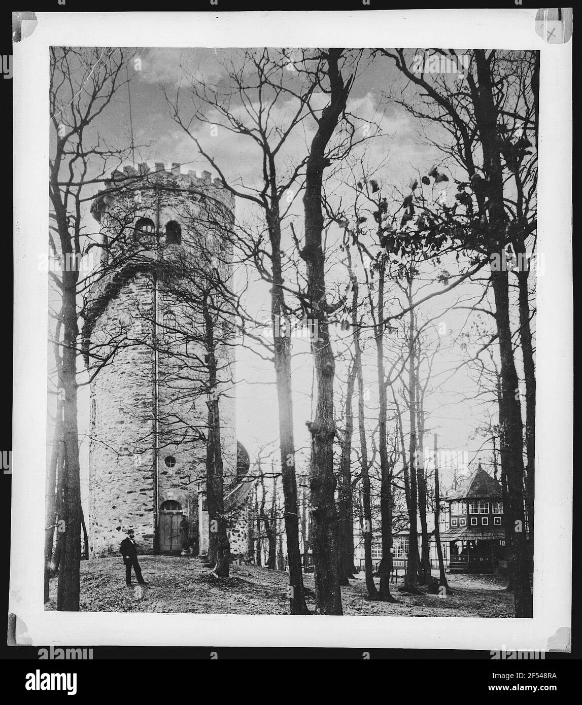 Collmberg. Albertthurm Banque D'Images