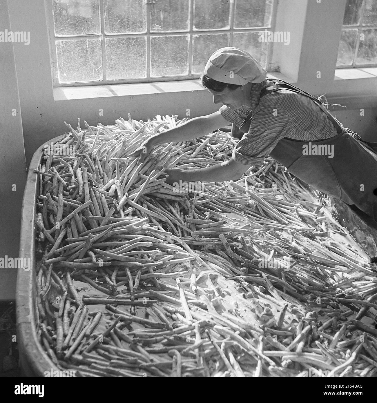 Femme tout en lavant les asperges Banque D'Images Femme tout en lavant les asperges Banque D'Images