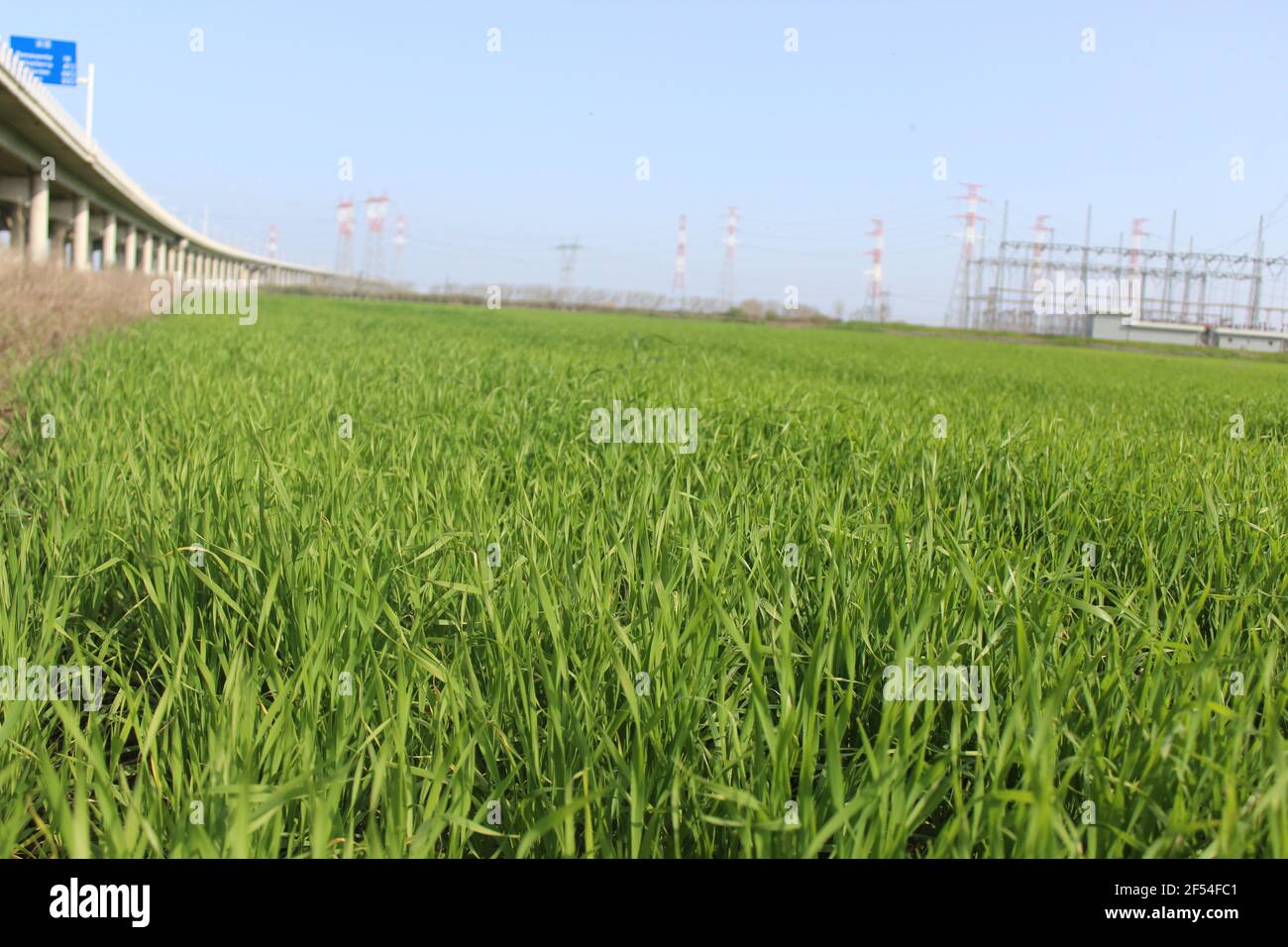 Paysage de prairie verte avec pont et haute tension électrique lignes électriques Banque D'Images