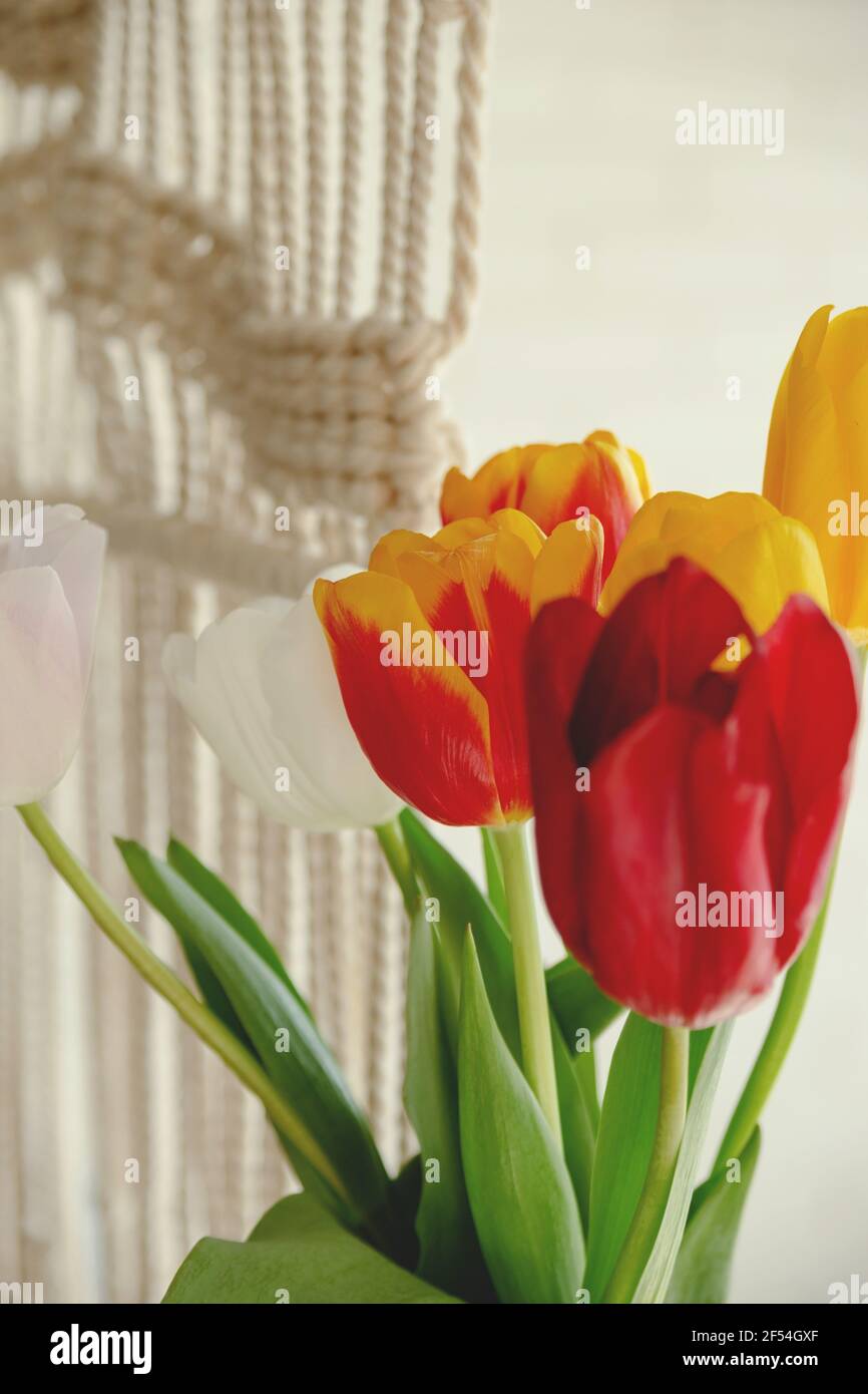 Magnifiques tulipes multicolores de printemps dans un intérieur léger à côté de macrame Banque D'Images