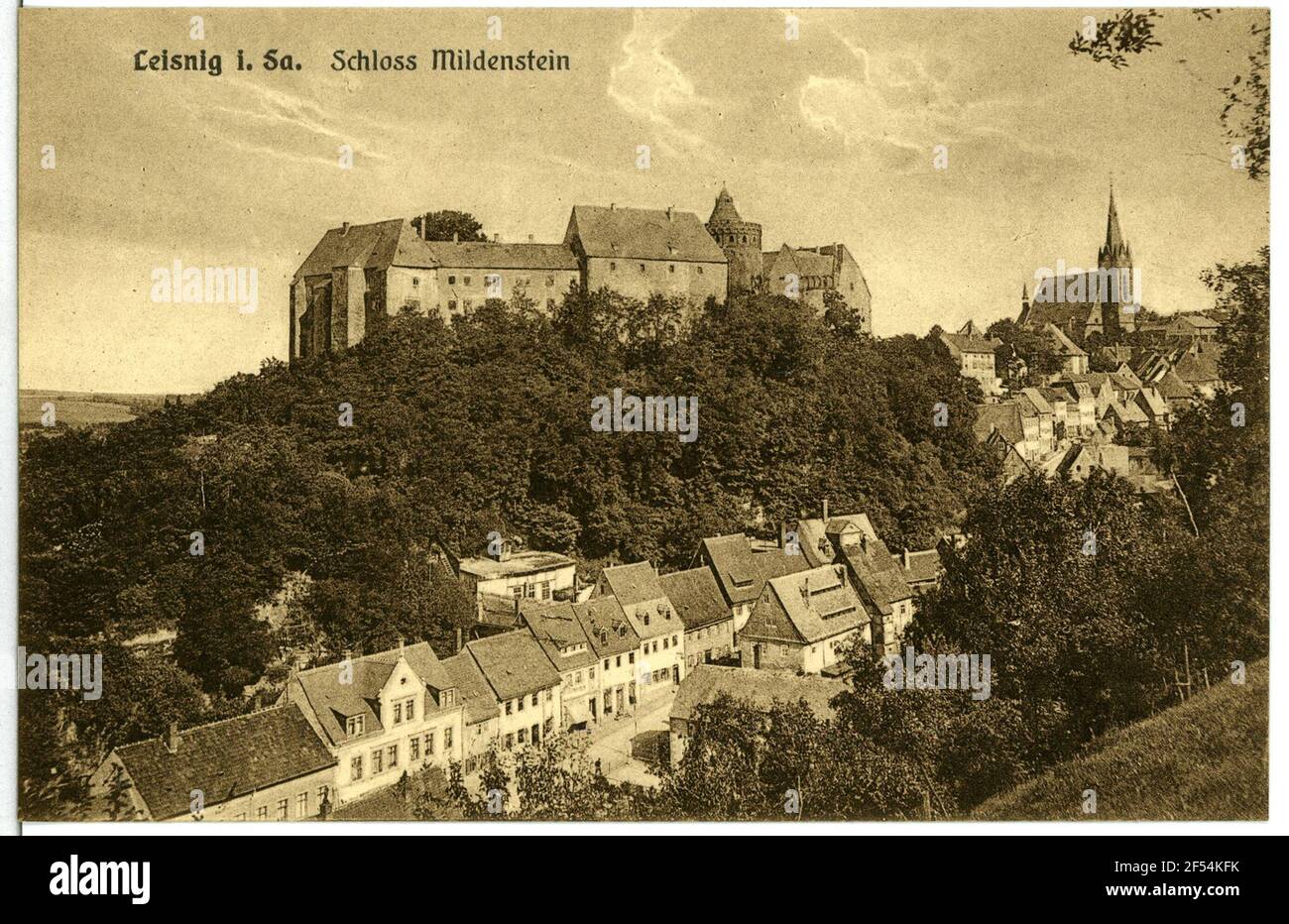 Fermé Mildenstein donnant sur la ville de Leisnig. Château de Mildenstein donnant sur la ville Banque D'Images