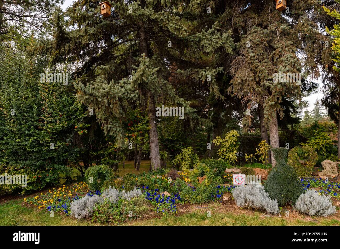 Photo d'un beau jardin avec de grands pins décoratifs et de petits arbres, chemin de tuiles et fleurs fleuries. Conception de paysage. Boîtes à oiseaux sur la branche Banque D'Images