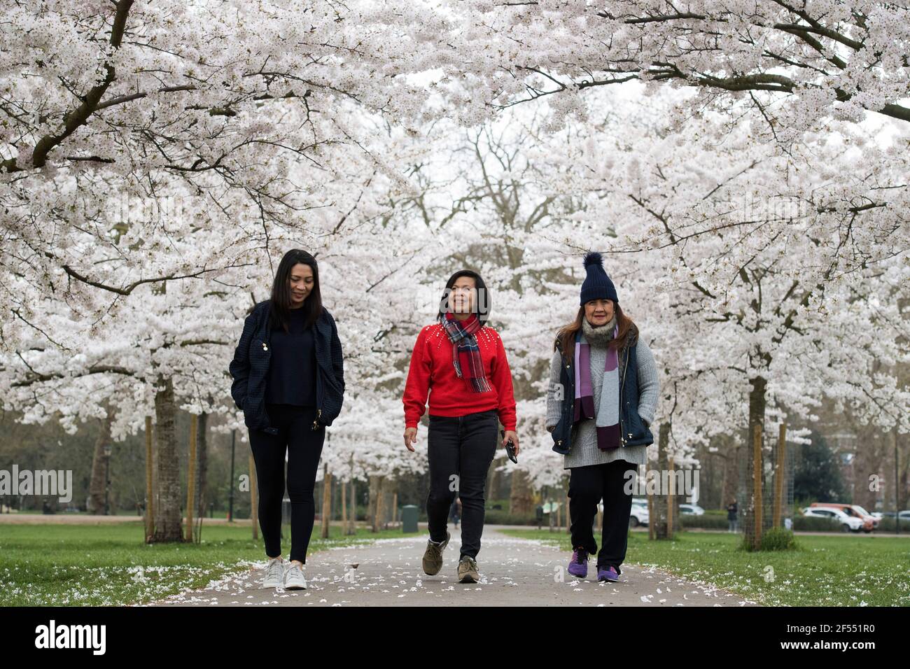 Les gens marchent sous les cerisiers en fleurs à Battersea Park, Londres. Date de la photo: Mercredi 24 mars 2021. Banque D'Images