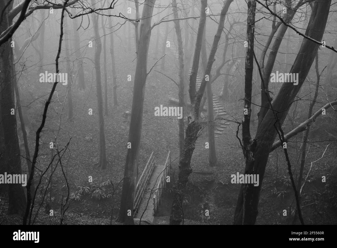 Pont en bois sur un matin brumeux. Banque D'Images