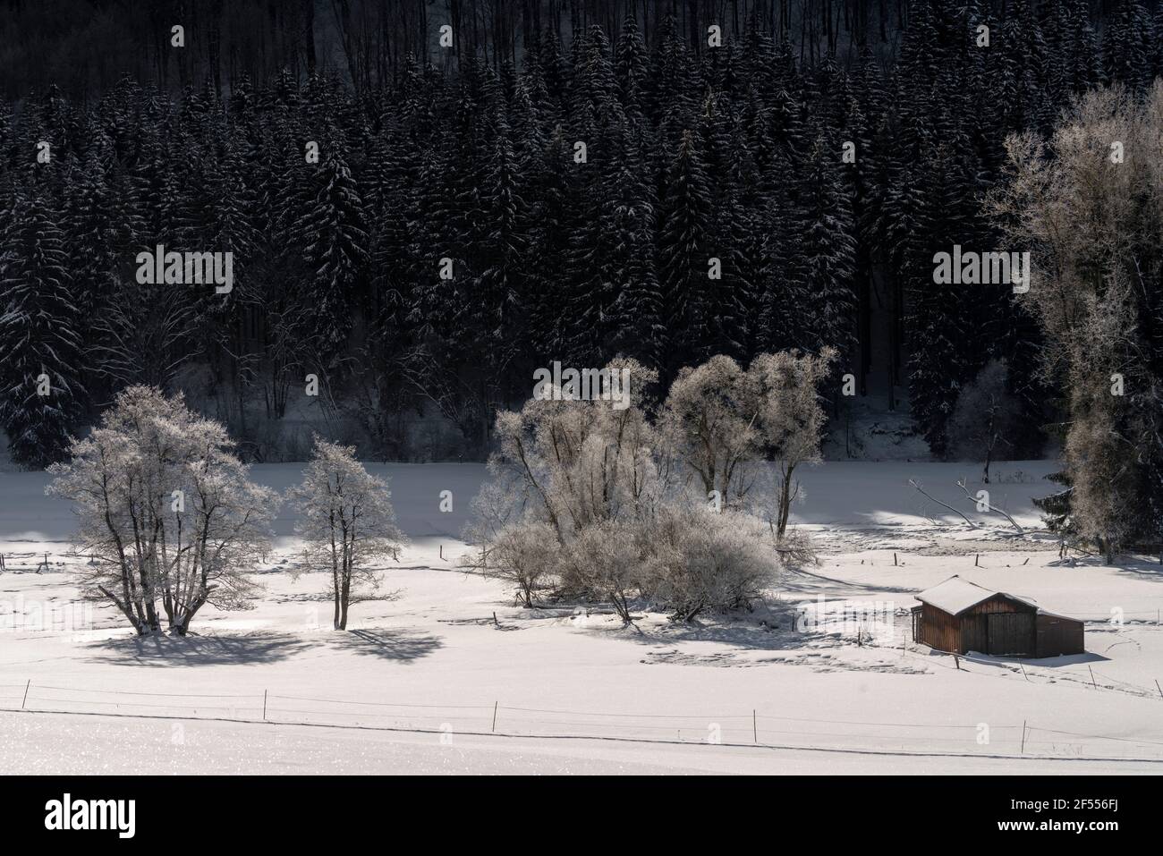 Sauerland, Landschaft BEI Winterberg Banque D'Images