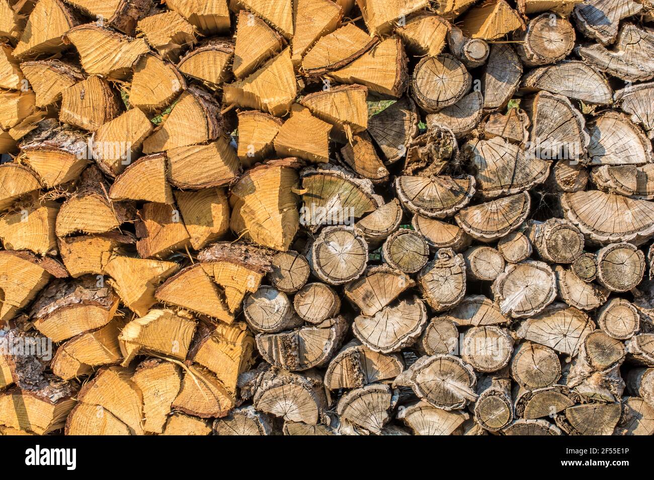 Bois de chauffage ancien et frais en comparaison Banque D'Images