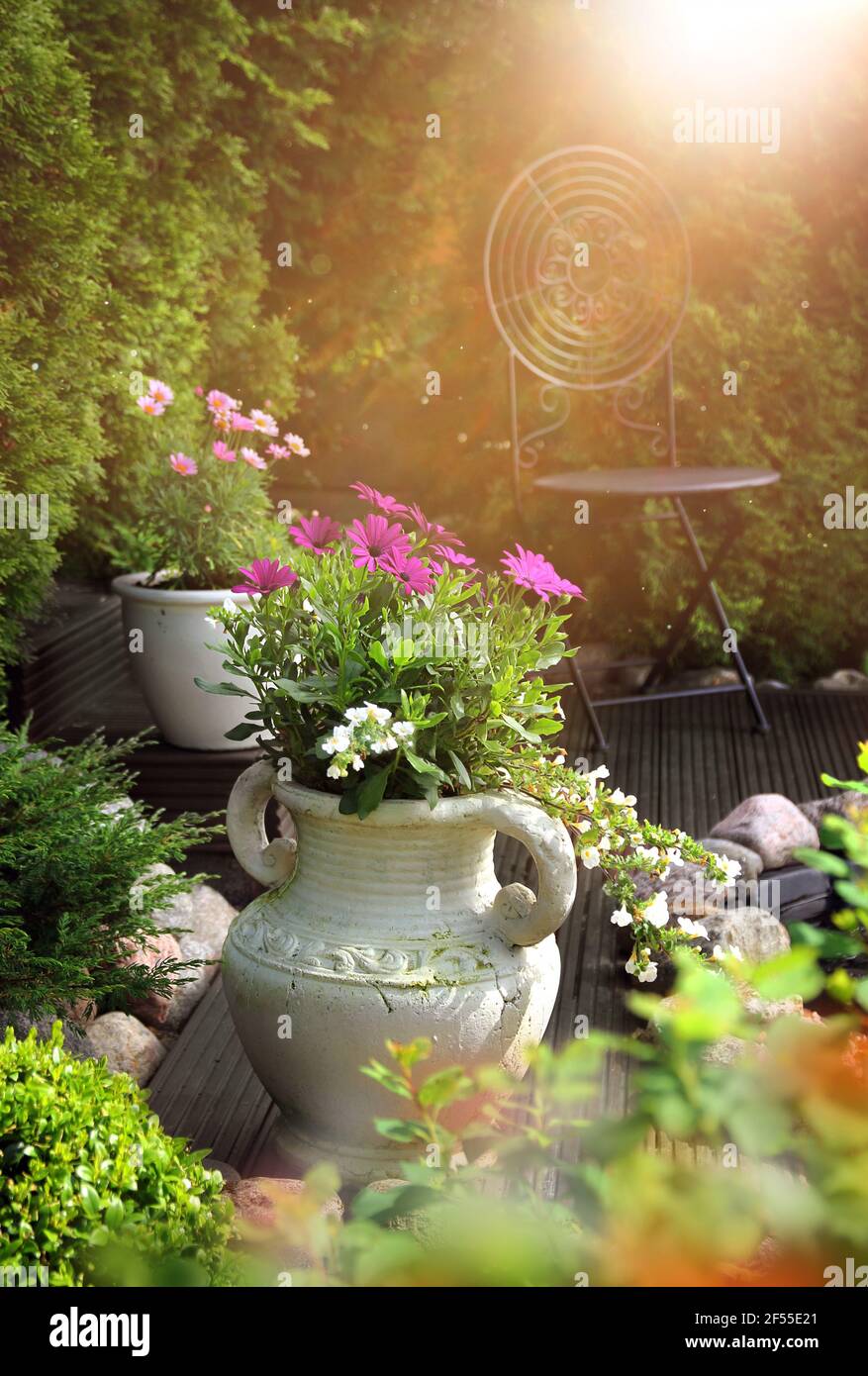Jardin paisible, ensoleillé et chaleureux, terrasse avec fleurs dans des pots d'argile Banque D'Images